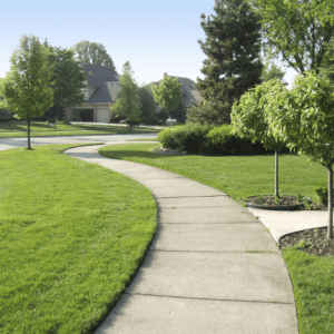 Concrete Cleaning