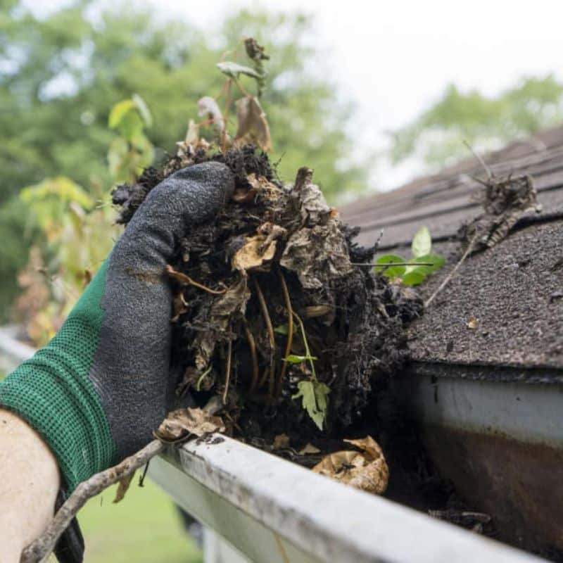 Gutter Cleanouts in vineland nj